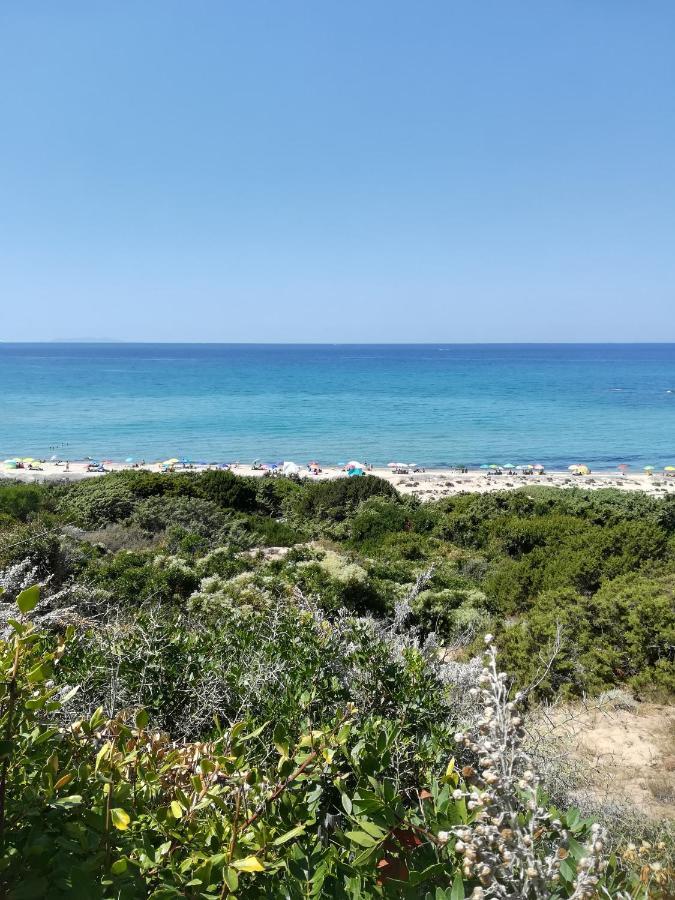 Sea Paradise Apartment Valledoria Kültér fotó
