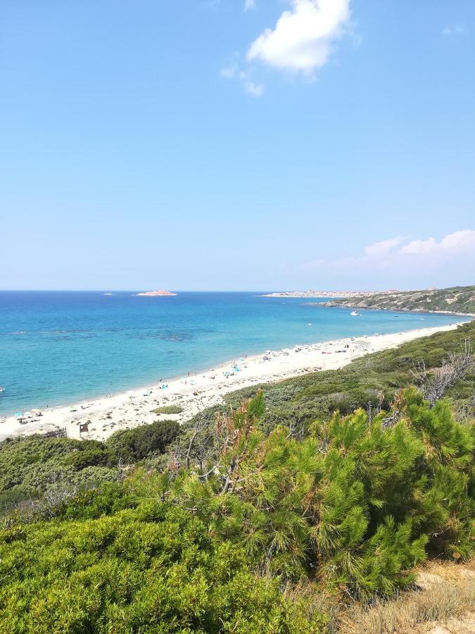 Sea Paradise Apartment Valledoria Kültér fotó